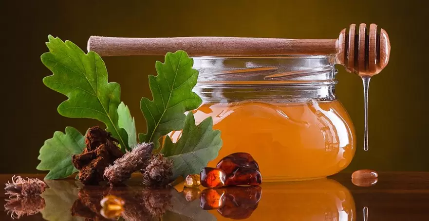 Meşe Balı Nedir? Özellikleri Nelerdir? Ne Kadar Tüketilmelidir? Faydaları Nelerdir?