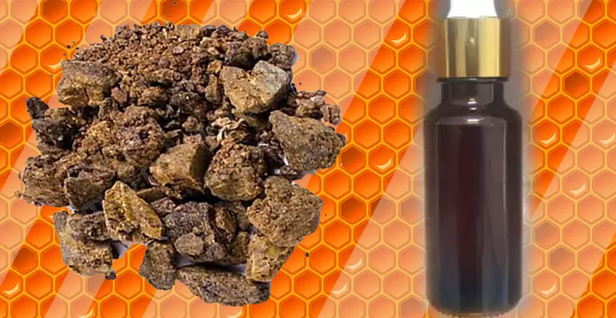 Propolis Nedir? Ne İşe Yarar? Nasıl Kullanılır?